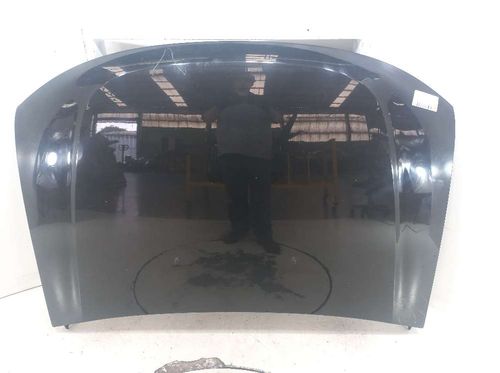 CAPO RENAULT DUSTER 2.0 2016