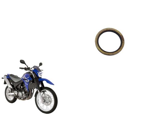 Anel Escape Yamaha Xt 660 05-18