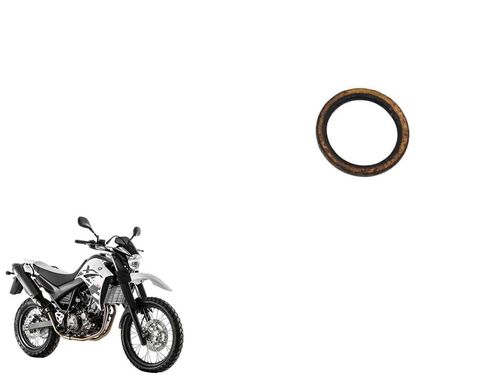 Anel Escape Yamaha Xt 660 09-18