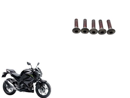 Parafuso Disco Freio Dianteiro Kawasaki Z 300 15-16