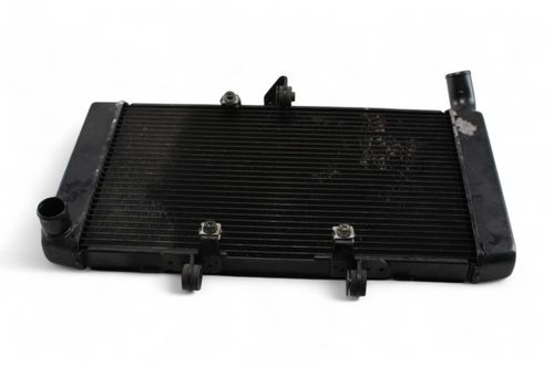 Radiador Honda Cbr 600 F 2012