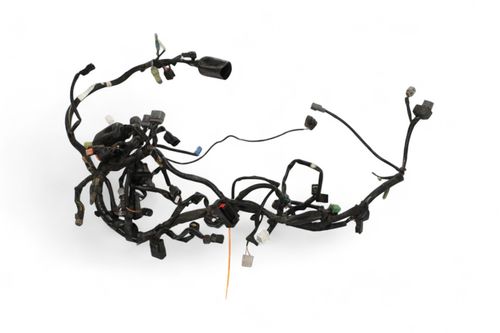 Chicote Principal Abs Kawasaki Ninja 400 18-24