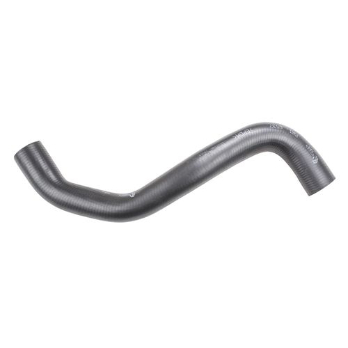 Mangueira Radiador Renault Clio 2000 a 2013 - 186381 - 117458