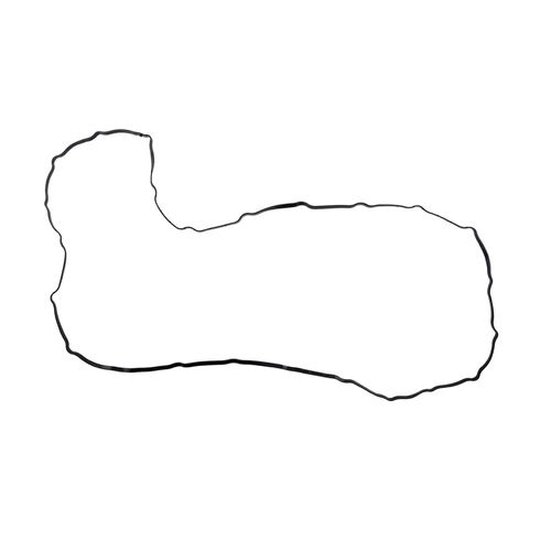 JUNTA DA TAMPA DE VALVULA - IVECO STRALIS FTP - APEX