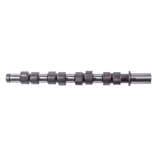 Arvore de Comando das Valvulas CLIO 2000/2006 - 51919 - AL581000