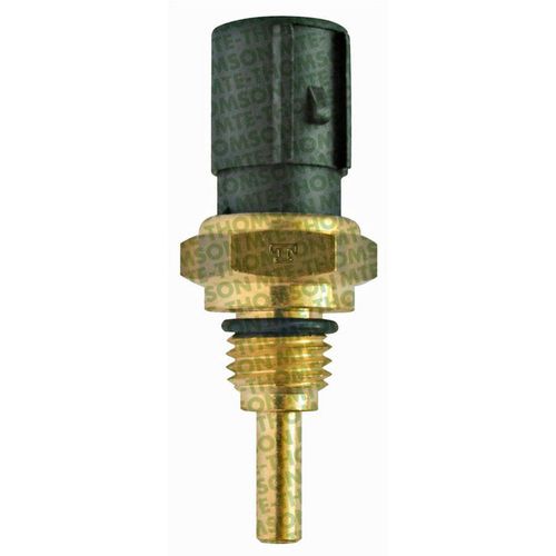 Cebolinha Temperatura ACCORD 1994/1995  - 46920 - 4257