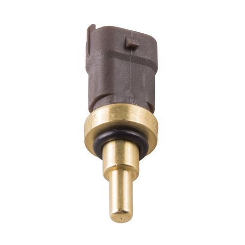 Cebolinha Temperatura PALIO 2014/2017 - 39768 - 4217