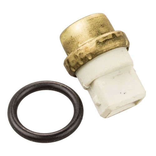 Interruptor Térmico LAGUNA 1996/2015 - 41170 - 44066