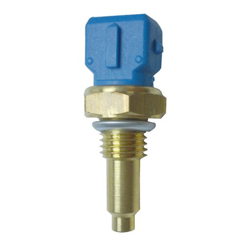 Cebolinha Temperatura SIENA 1997/2000  - 40063 - 4053