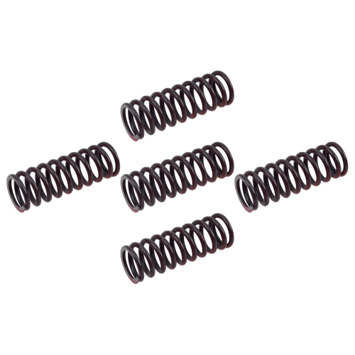 Kit Molas Embreagem WR 250F 15-19 YZ 250FX 16-19 Original Yamaha