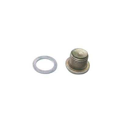Bujao Carter Renault Tds Scenic Clio Megane